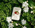FPA Skin | Kokum Butter | 100% Pure Raw Multi-Use Moisturizing Butter for Face, Lips & Body |10g